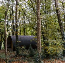 A metal pod structure among trees in a forest at Ballybeg Pod 2 Ballybeg near Tinahely County Wicklow