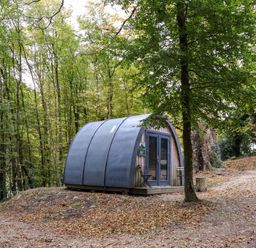 A small wooden pod with a curved roof next to a tree in a forest clearing at Ballybeg Pod 10 Ballybeg near Tinahely County Wicklow