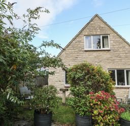 A front garden with potted plants and shrubs in front of a stone house at Old Harry Cottage 16 in Swanage