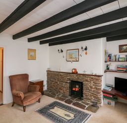 A living room with a stone fireplace a chair bookshelves and a television at Vine Cottage in East Prawle