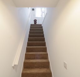 A staircase with brown carpet and white walls with a dog sitting at the top at Cotswold Outlet Coach House in Tewkesbury