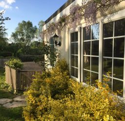 A garden with yellow shrubs and a wooden fence next to a building with large windows at October House Holiday Cabin in Damerham