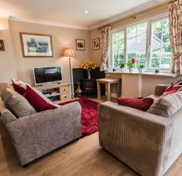 A living room with two sofas a television on a wooden stand a small fireplace and window with potted plants at October House Holiday Cabin in Damerham