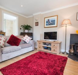 A living room with a sofa cushions TV stand and a red rug at October House Holiday Cabin in Damerham