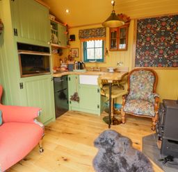 A small kitchen area with green cabinets a red armchair floral upholstered chair a wood stove and a wooden floor at Catchwater in Keal Cotes near East Kirkby