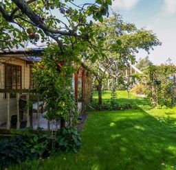 A garden with a house and trees at The Cabin at Little Timbers Ringwood