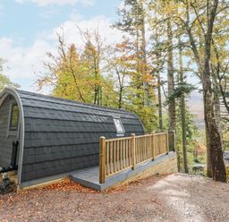 An outdoor pod-style cabin with a small raised deck surrounded by trees at Elleric Pods - The Last Resort in Fasnacloich near Appin
