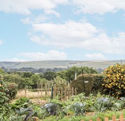 A vegetable garden with cabbages and a flowering bush at Aunty Junes Cottage Okehampton