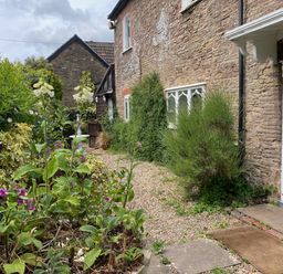 A garden with flowers and gravel pathway at Cefn Campstone Llanvihangel Crucorney near Abergavenny
