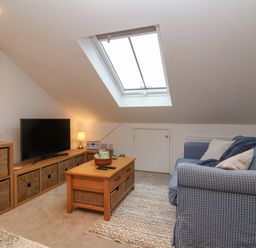 A living room with a blue checked sofa a wooden coffee table and a television under a skylight at The Halt in Maiden Newton