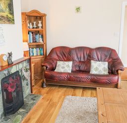 A living room with a red leather sofa two cushions wooden bookshelf and a fireplace at Lakeview Lodge in Knockmore County Mayo