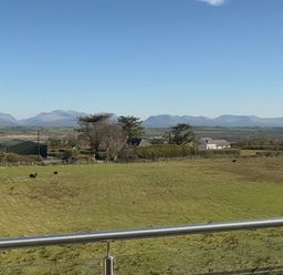 A view of mountains and a field with cows at 15 Llys Tegeirian Llangristiolus near Llangefni