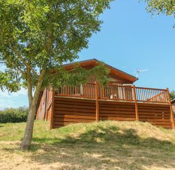 A wooden lodge with a deck and tree at Finnbars Lodge Richmond