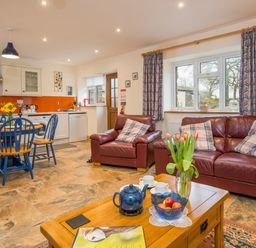 An open plan kitchen and living room with a dining table and blue chairs leather armchairs and sofa a wooden coffee table with flowers and teapot on it at Cych Cottage Cardigan Near Cenarth