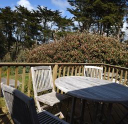 A wooden outdoor table with four wooden chairs on a deck surrounded by trees and bushes at Northern Lights in Polzeath