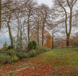 A garden area with fallen leaves and trees beside a white building at 5 Manor Park in Bucks Cross Bideford