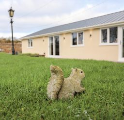 A garden with a small squirrel statue on the grass in front of a beige building with windows and doors at Ynys Uchaf Near Benllech