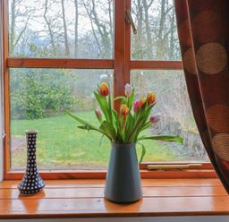 A wooden windowsill with a vase of tulips and a patterned vase with a garden view at Mill Cottage in Aylesbeare