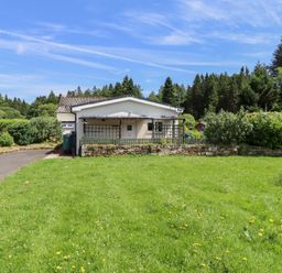 A house with a garden and driveway at Fir Tree Cottage near Cottonshopeburnfoot