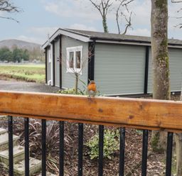 A bird sitting on a wooden railing with a cabin and trees in the background at Hexagon Hut - Dec Update in Dungiven Londonderry