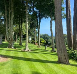 A landscaped garden with tall trees a lawn a statue and a birdhouse at Hunters Moon in Charlestown