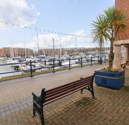 A bench and a potted palm tree on a paved marina walkway with boats moored and buildings in the background at 15 Sovereign House in Milford Haven