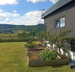 A garden with plants and a house at Dundarach in Aberfeldy