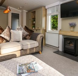 A living room with a sofa cushions fireplace and TV at Lily Rose Lodge White Cross Bay near Troutbeck Bridge