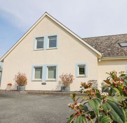 The exterior of a house with light walls and blue window frames with plants near the windows and a paved driveway at Tree Tops in Newport Pembrokeshire