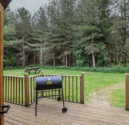 A wooden deck with a black grill and a picnic table on grass near trees at Rowan Lodge in Rosliston