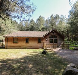 A wooden cabin with a small porch surrounded by trees and grass at Rowan Lodge in Rosliston
