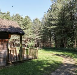 A wooden cabin with a porch in a grassy clearing near a forest with a picnic table at Rowan Lodge in Rosliston