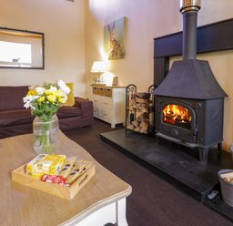 A living room with a lit wood-burning stove a sofa a coffee table with flowers and a tray and a dresser with a lamp at Igamogam Llanllyfni near Penygroes