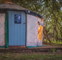 A yurt with a blue door and a lit round window in a wooded area at Brandon House Farm Yurt Brandon Parva near Mattishall