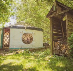 A yurt tent and a wooden firewood storage shed in a grassy area with trees at Brandon House Farm Yurt Brandon Parva near Mattishall