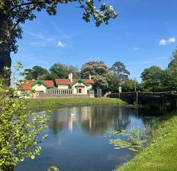 A pond with a swan and lily pads next to a house and a stone bridge surrounded by trees at Hafod Lodge in Hensol near Pontyclun
