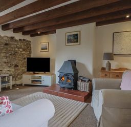 A living room with a wood burning stove and a television on a cabinet at Garden Cottage in Upottery