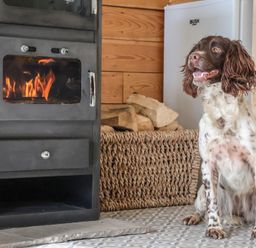 A dog sitting on a patterned floor near a wood burning stove and a basket of firewood at Beech Tree Cabin in Goodmanham near Market Weighton