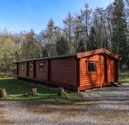 A wooden cabin surrounded by trees and grass at Forest Lodge in Kenwick Woods
