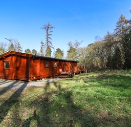A wooden cabin with a small porch and steps surrounded by grass and trees at Forest Lodge in Kenwick Woods