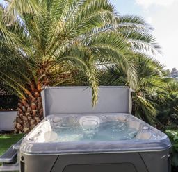 A hot tub surrounded by palm trees at Delmonte Lodge in Torquay