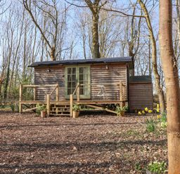 A wooden shepherds hut in a forest clearing with flowers in pots at Woodlands Retreat Shepherds Hut Brundish near Laxfield
