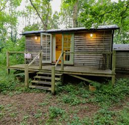 A wooden hut with steps and railing in a green forest at Woodlands Retreat Shepherd's Hut Brundish near Laxfield