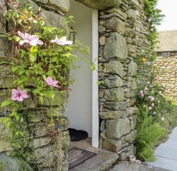 A garden with climbing plants and a stone wall at High Wood Foot in Bampton, Cumbria