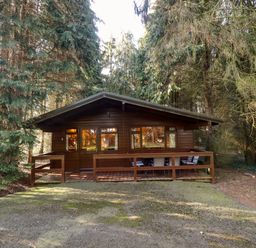 A wooden cabin with a porch and outdoor chairs surrounded by tall trees at Partridge in Withern near Alford