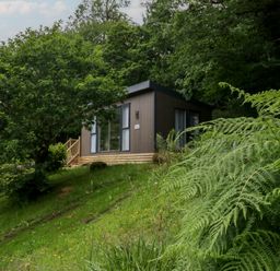 A cabin near trees at Elter Luxury Pod in Keswick