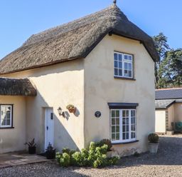 A house with a thatched roof and white windows with plants in pots outside at Badgers Den in Budleigh Salterton