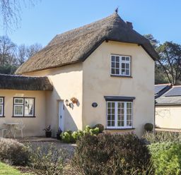 A thatched cottage with cream walls and white windows surrounded by bushes at Badger's Den in Budleigh Salterton