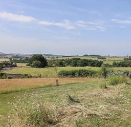 A view of fields and trees at Folly View in Eglingham