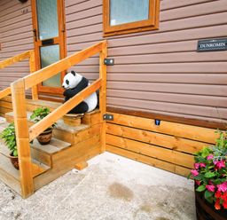 An outdoor entrance with a panda statue and potted plants at Dunromin in Montgomery